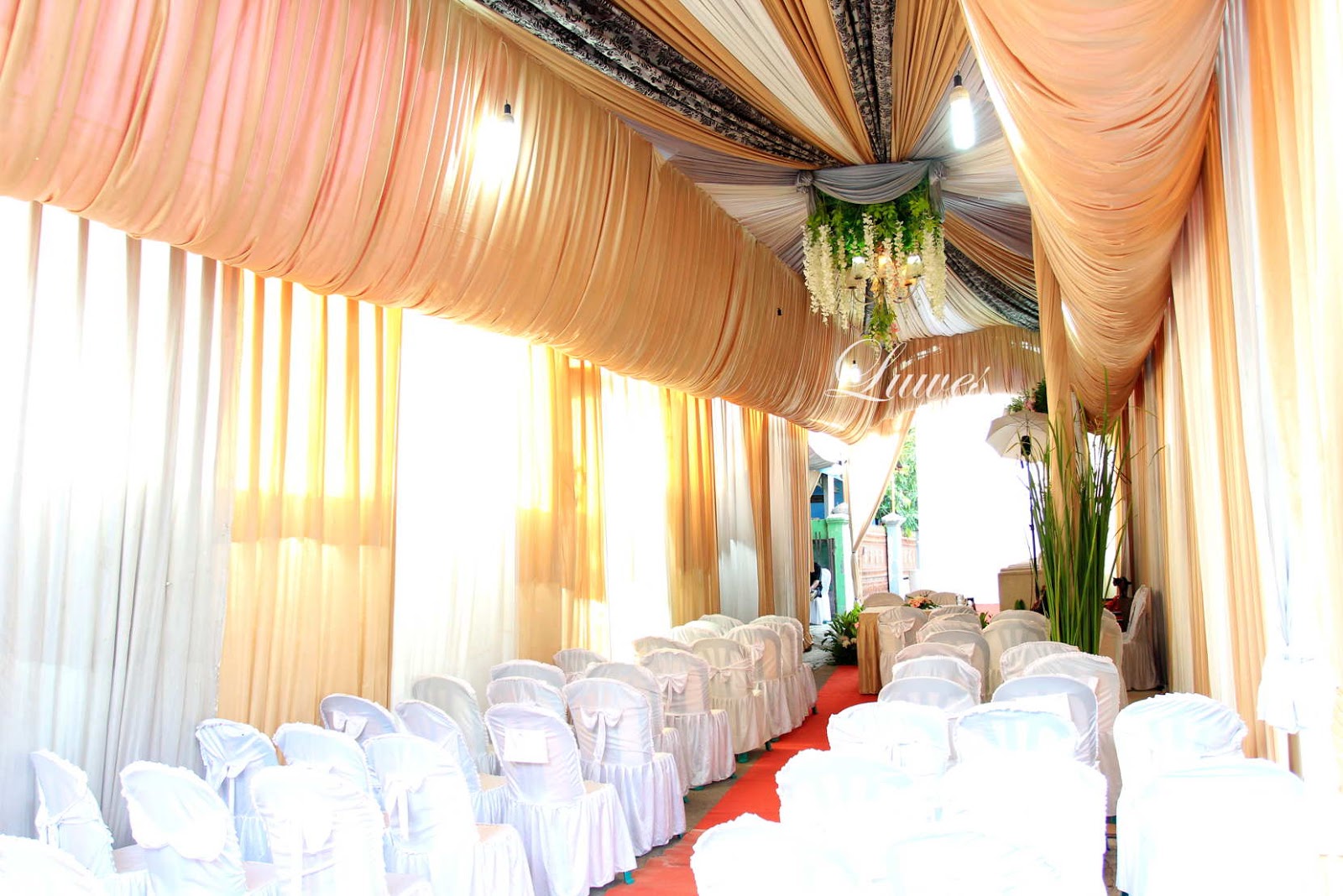 Detail Tenda Resepsi Pernikahan Di Rumah Nomer 2