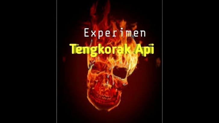 Detail Tengkorak Api Wallpaper Nomer 35