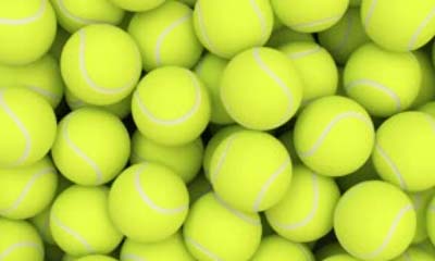 Detail Tennis Ball Image Free Nomer 19