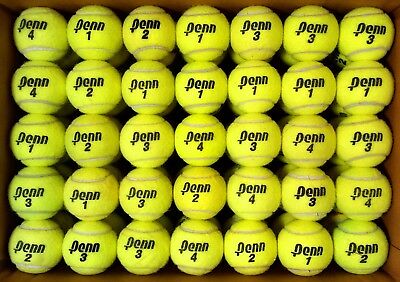 Detail Tennis Ball Image Free Nomer 33