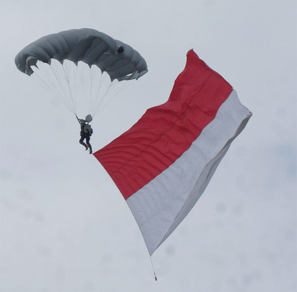 Detail Tentara Terjun Payung Nomer 20