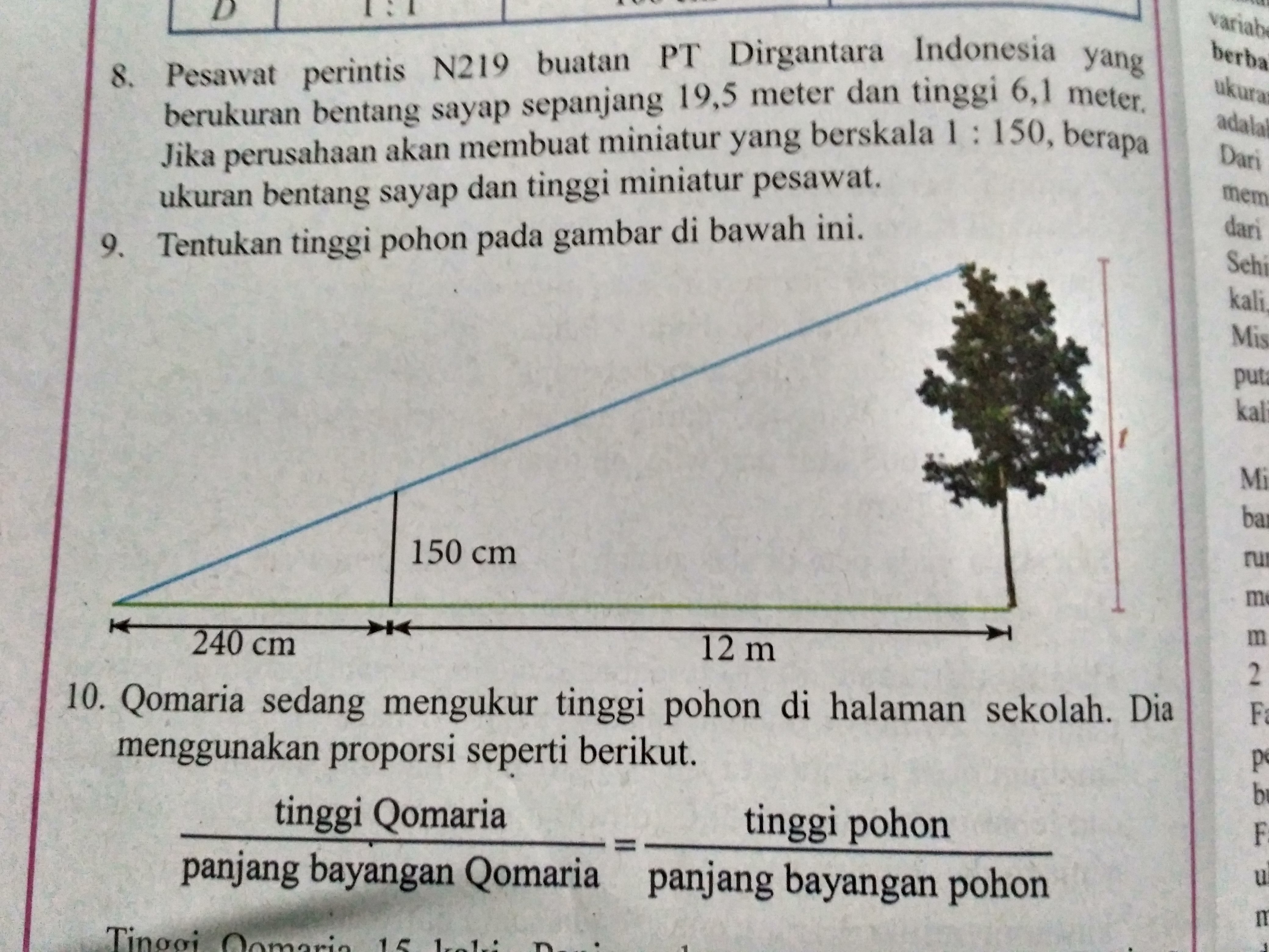 Tentukan Tinggi Pohon Pada Gambar Dibawah Ini - KibrisPDR