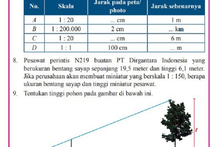 Detail Tentukan Tinggi Pohon Pada Gambar Dibawah Ini Nomer 13