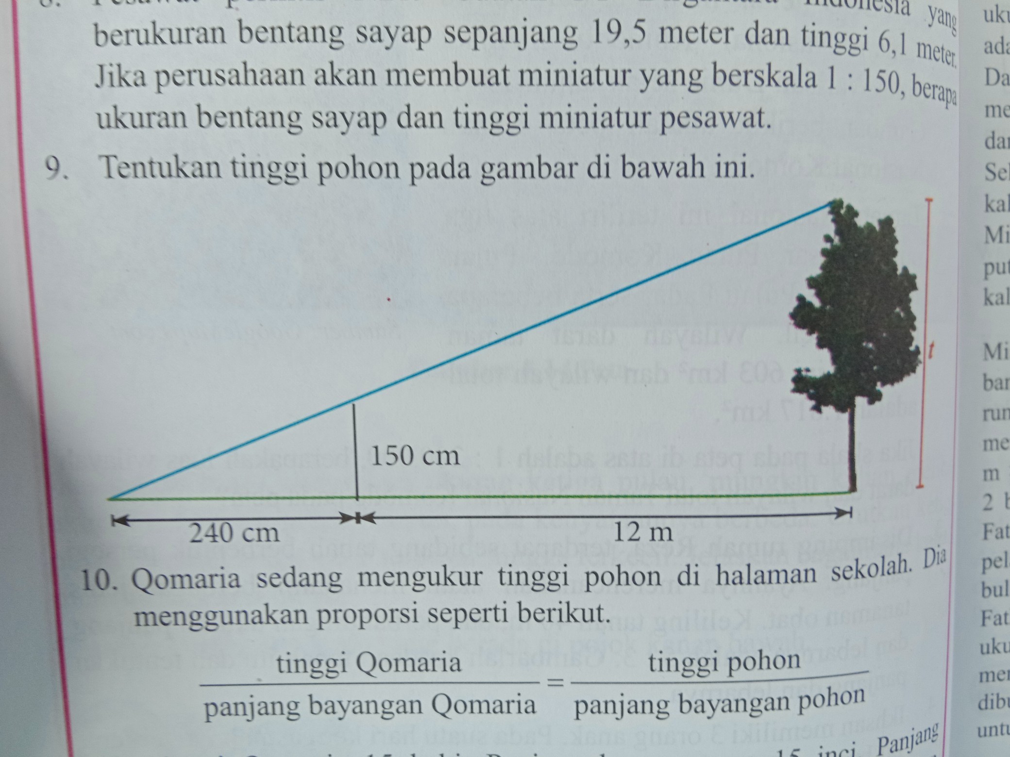 Detail Tentukan Tinggi Pohon Pada Gambar Dibawah Ini Nomer 3