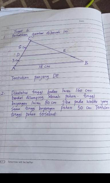 Detail Tentukan Tinggi Pohon Pada Gambar Dibawah Ini Nomer 21