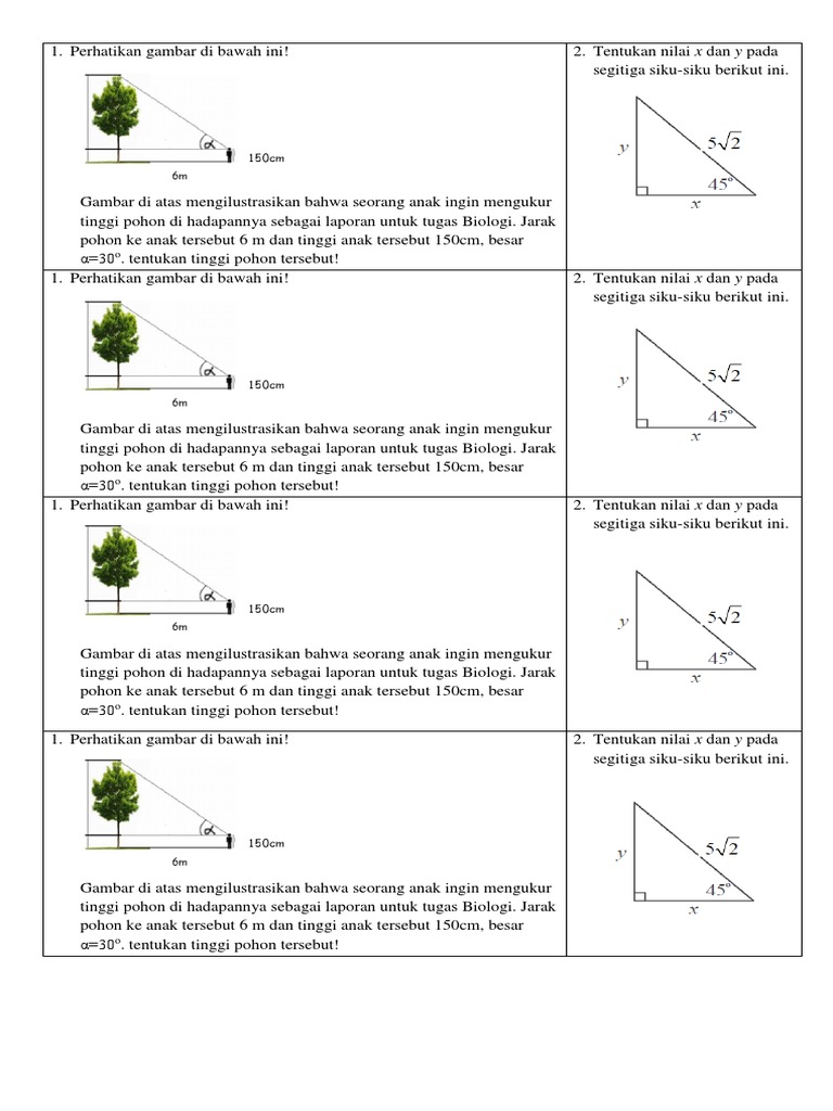 Detail Tentukan Tinggi Pohon Pada Gambar Dibawah Ini Nomer 31