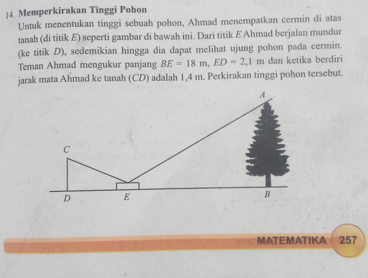 Detail Tentukan Tinggi Pohon Pada Gambar Dibawah Ini Nomer 51