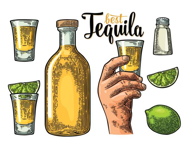 Detail Tequila Bottle Clipart Nomer 7