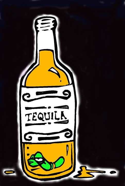 Detail Tequila Clipart Nomer 27