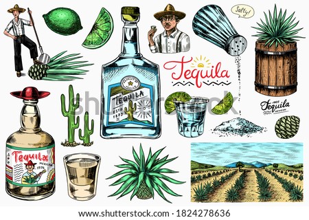 Detail Tequila Clipart Nomer 38