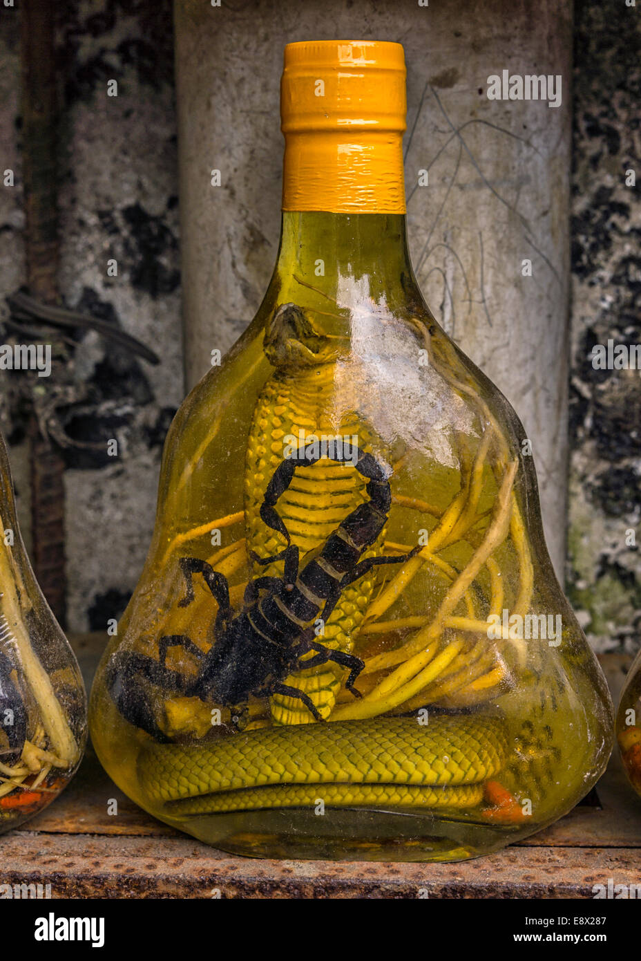 Detail Tequila With Cobra In Bottle Nomer 23