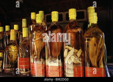 Detail Tequila With Cobra In Bottle Nomer 54