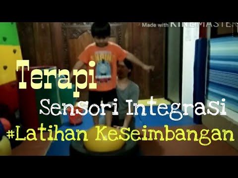 Detail Terapi Sensori Integrasi Di Rumah Sendiri Nomer 38