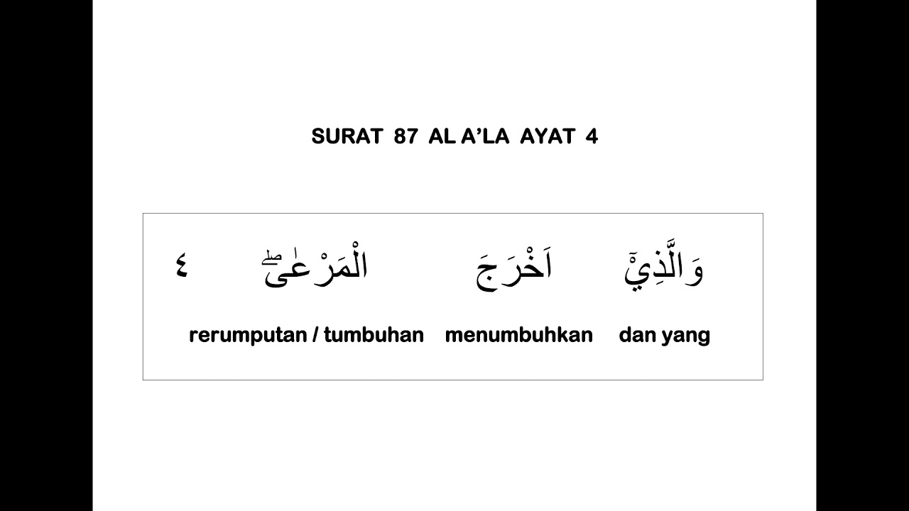 Detail Terjemahan Surat Al A La Nomer 14