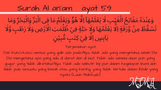 Detail Terjemahan Surat Al An Am Nomer 24