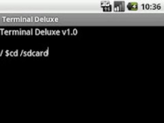 Detail Terminal Emulator Pro Nomer 14