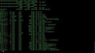 Detail Terminal Emulator Pro Nomer 19