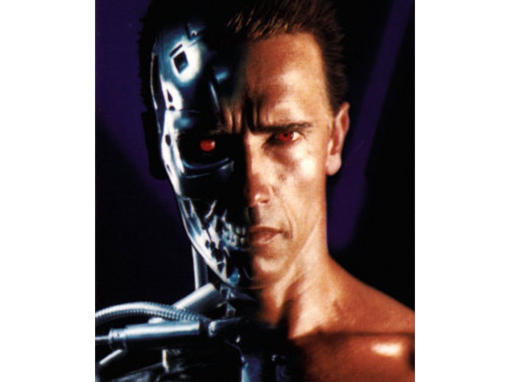 Detail Terminator Face Nomer 12