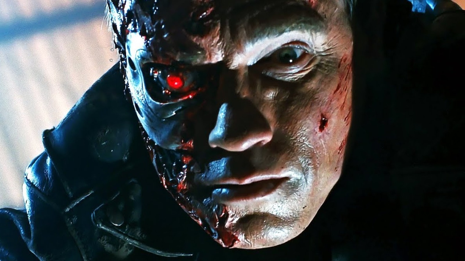 Detail Terminator Face Nomer 6