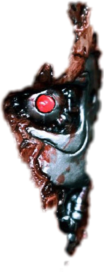 Detail Terminator Face Nomer 48