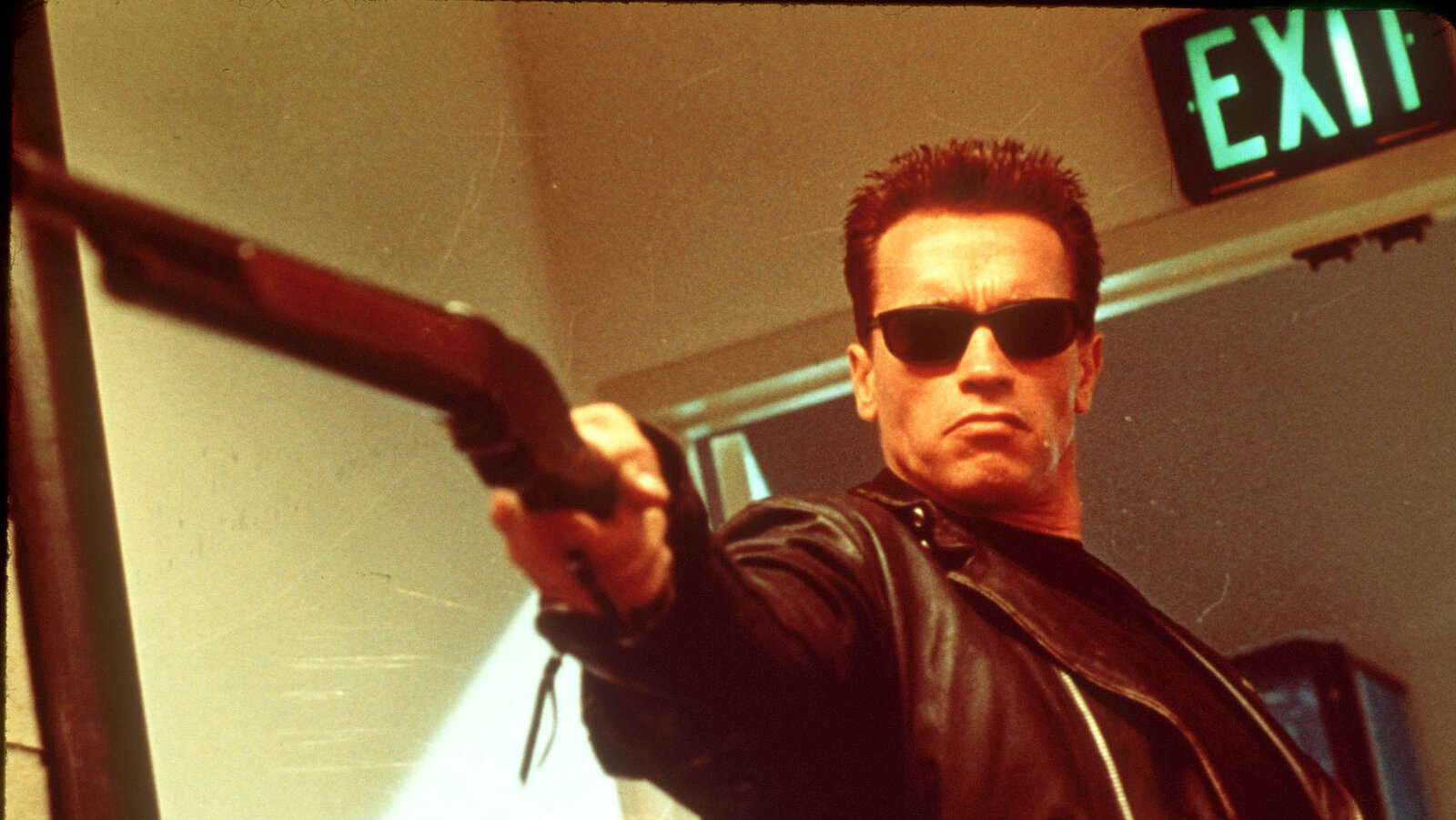 Detail Terminator Image Nomer 13