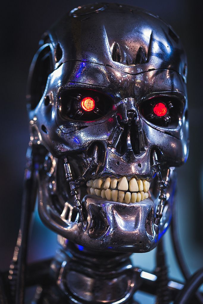Detail Terminator Image Nomer 20