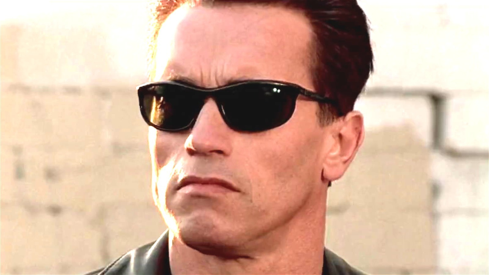 Detail Terminator Image Nomer 36