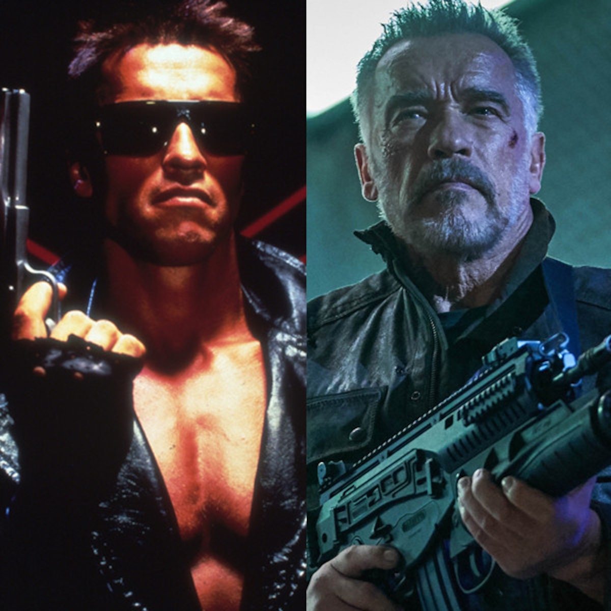 Detail Terminator Image Nomer 37