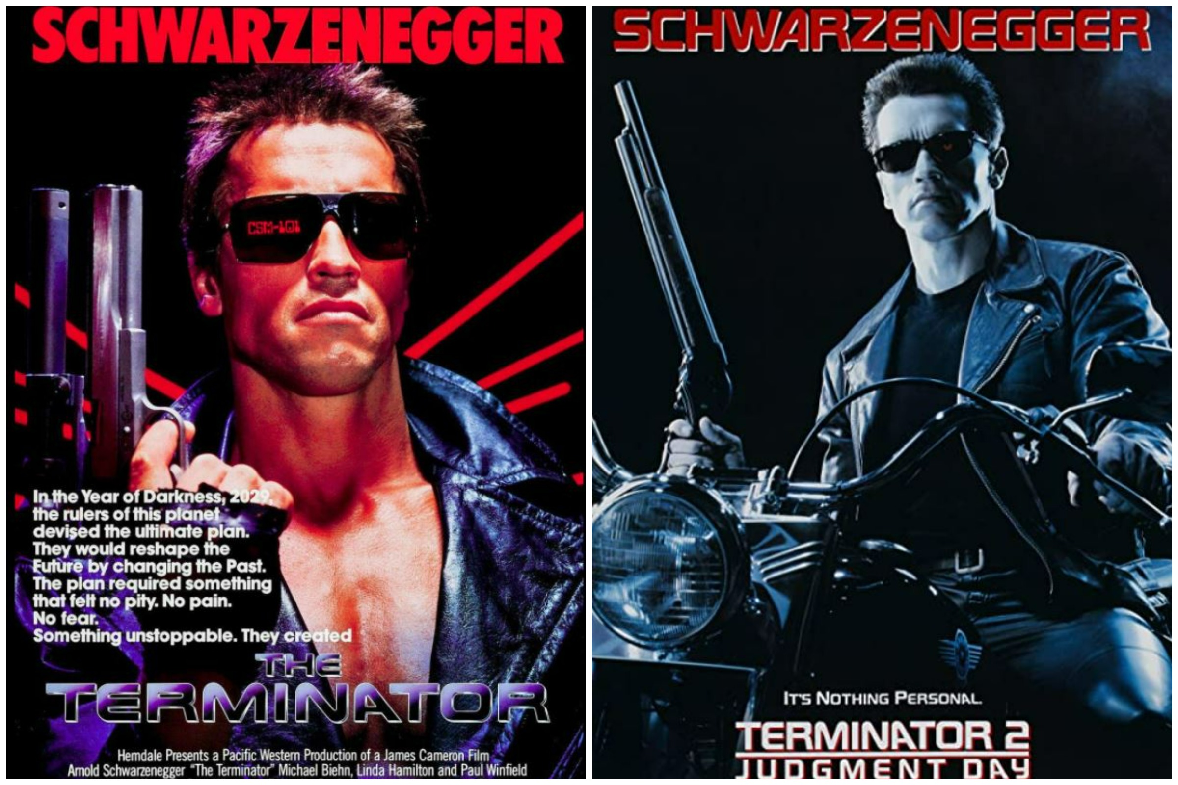 Download Terminator Photos Nomer 56