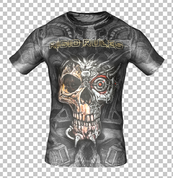 Detail Terminator Skull Png Nomer 44