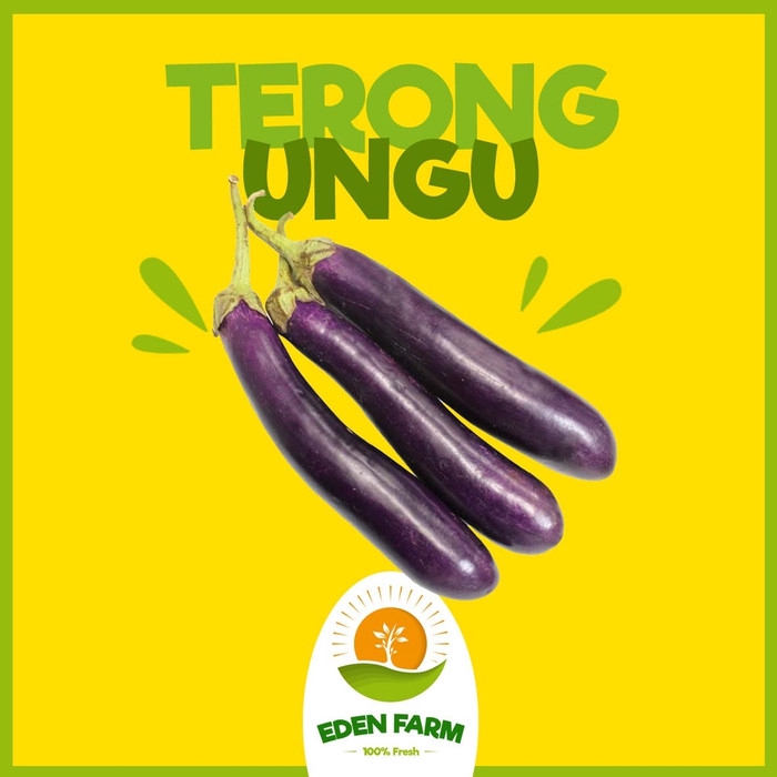 Detail Terong Sayur Atau Buah Nomer 50