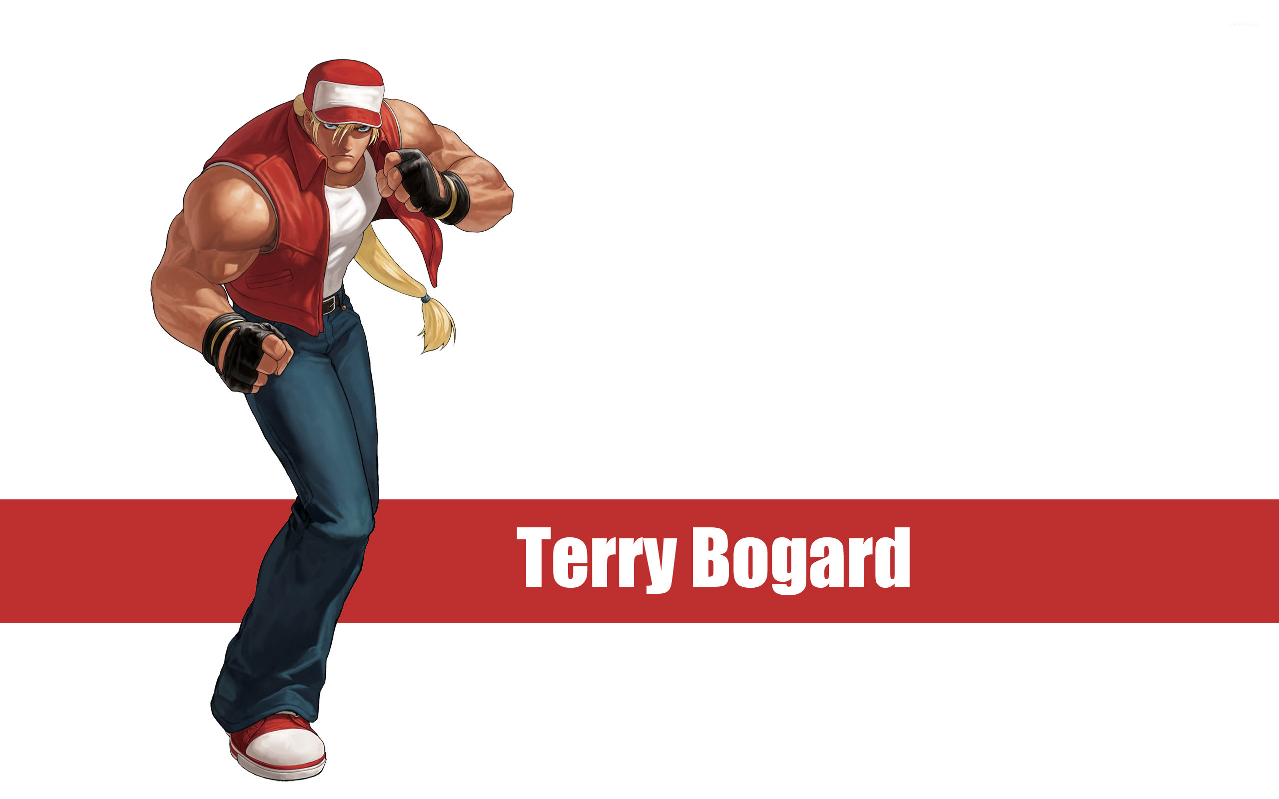 Detail Terry Bogard Wallpapers Hd Nomer 18