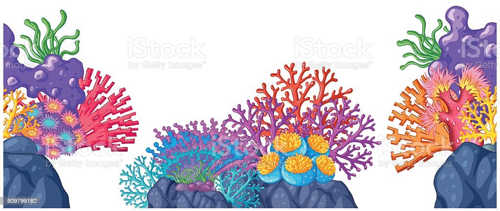 Detail Terumbu Karang Vector Nomer 14
