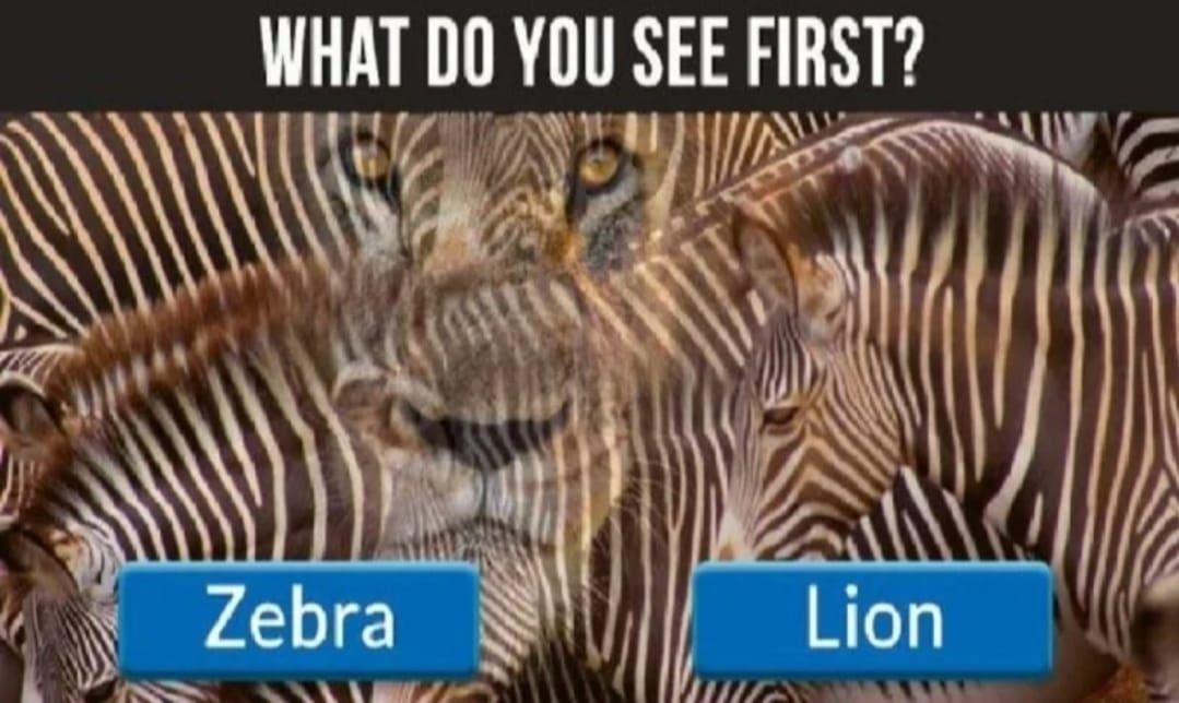 Detail Tes Gambar Zebra Nomer 2