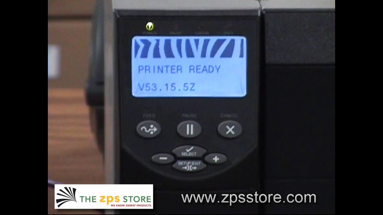 Detail Tes Gambar Zebra Nomer 26