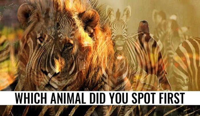 Detail Tes Gambar Zebra Nomer 7