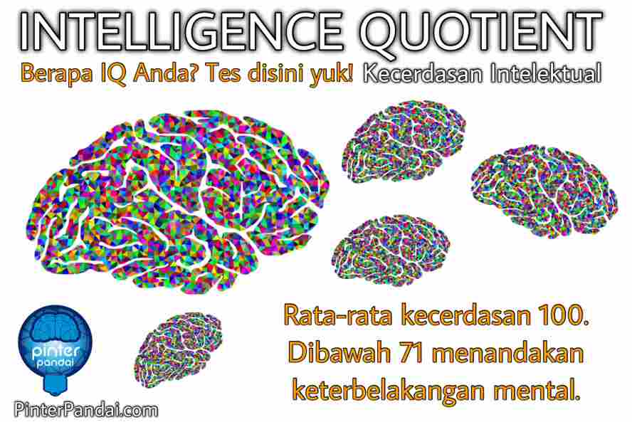 Detail Tes Iq Gambar Online Nomer 42