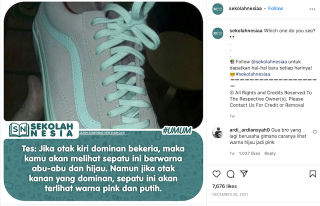 Detail Tes Iq Gambar Sepatu Bunga Nomer 11