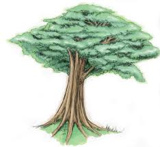 Detail Tes Menggambar Pohon Nomer 32