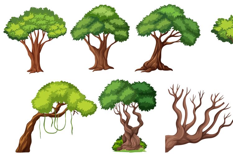 Detail Tes Menggambar Pohon Nomer 48