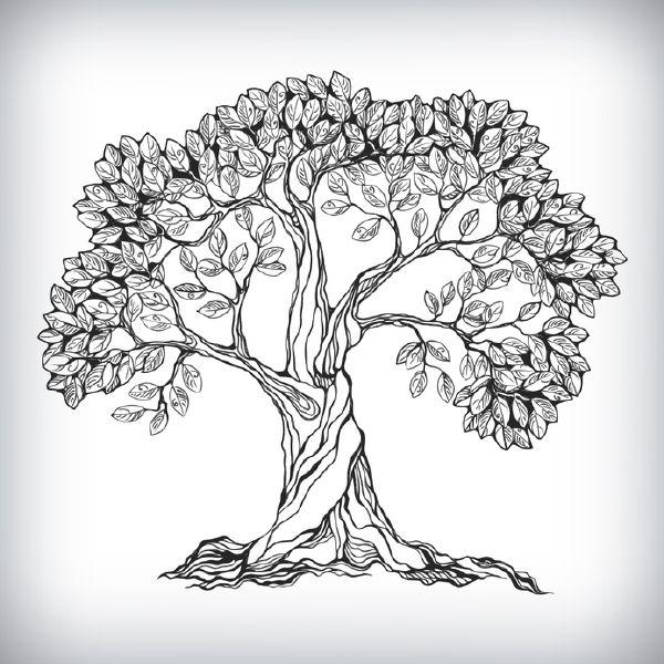 Detail Tes Psikologi Gambar Pohon Nomer 13