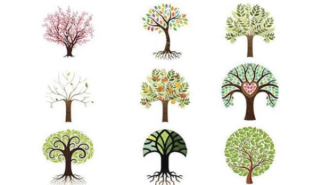 Detail Tes Psikologi Gambar Pohon Nomer 4