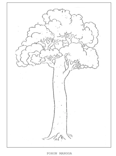 Detail Tes Psikotes Menggambar Pohon Mangga Nomer 15