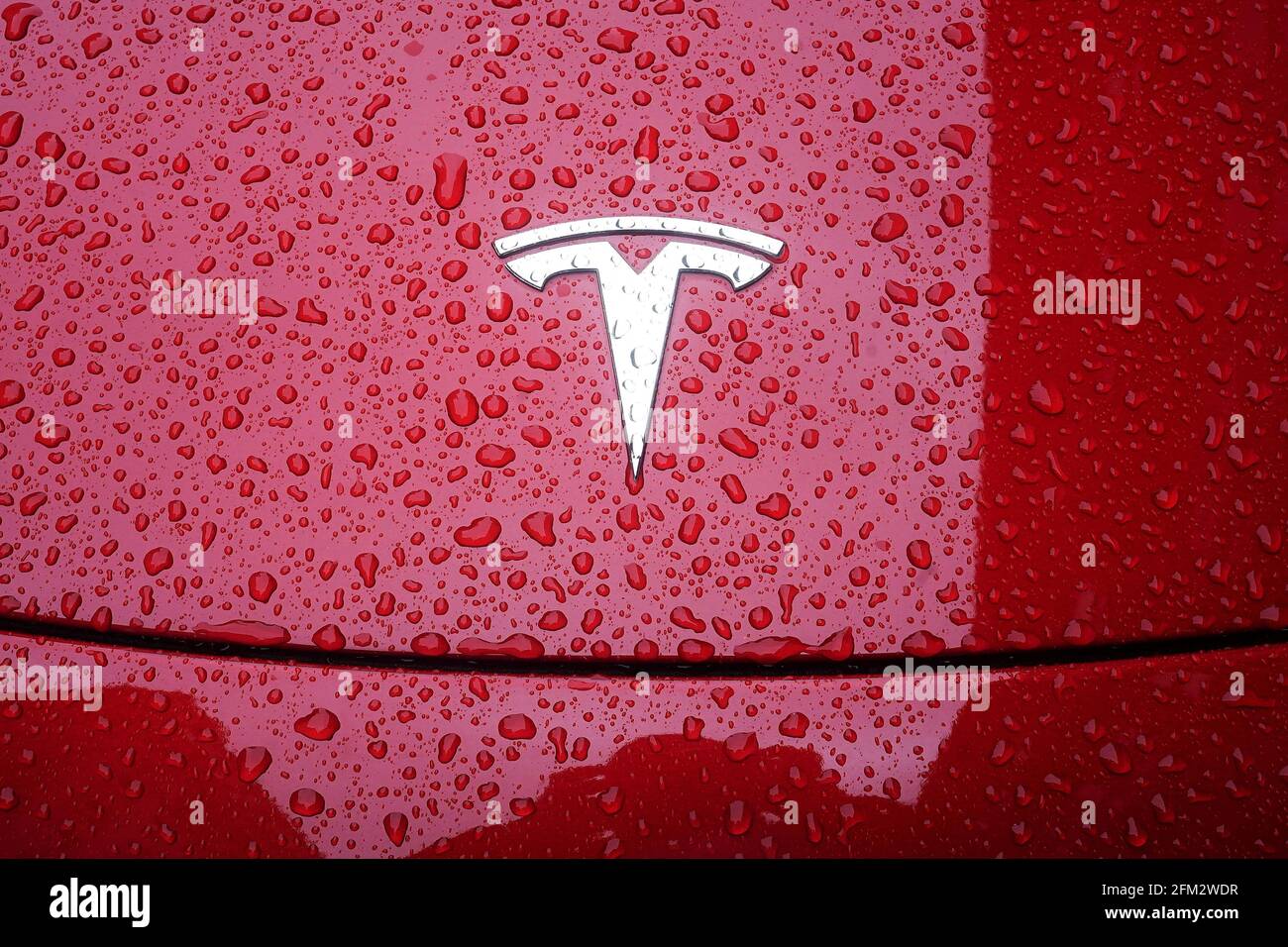 Detail Tesla Logo 2021 Nomer 17
