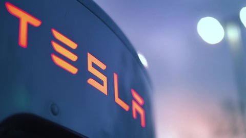Detail Tesla Logo 2021 Nomer 27