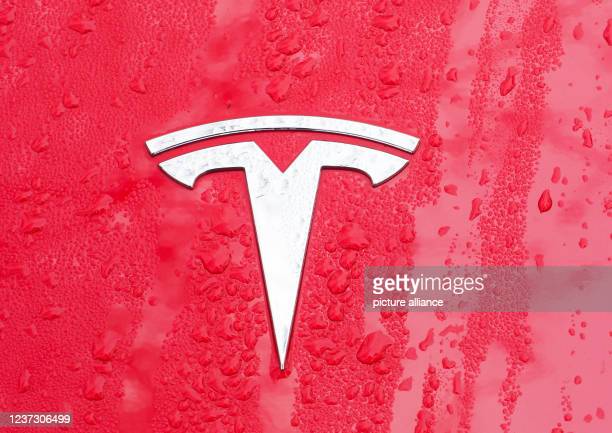 Detail Tesla Logo 2021 Nomer 28