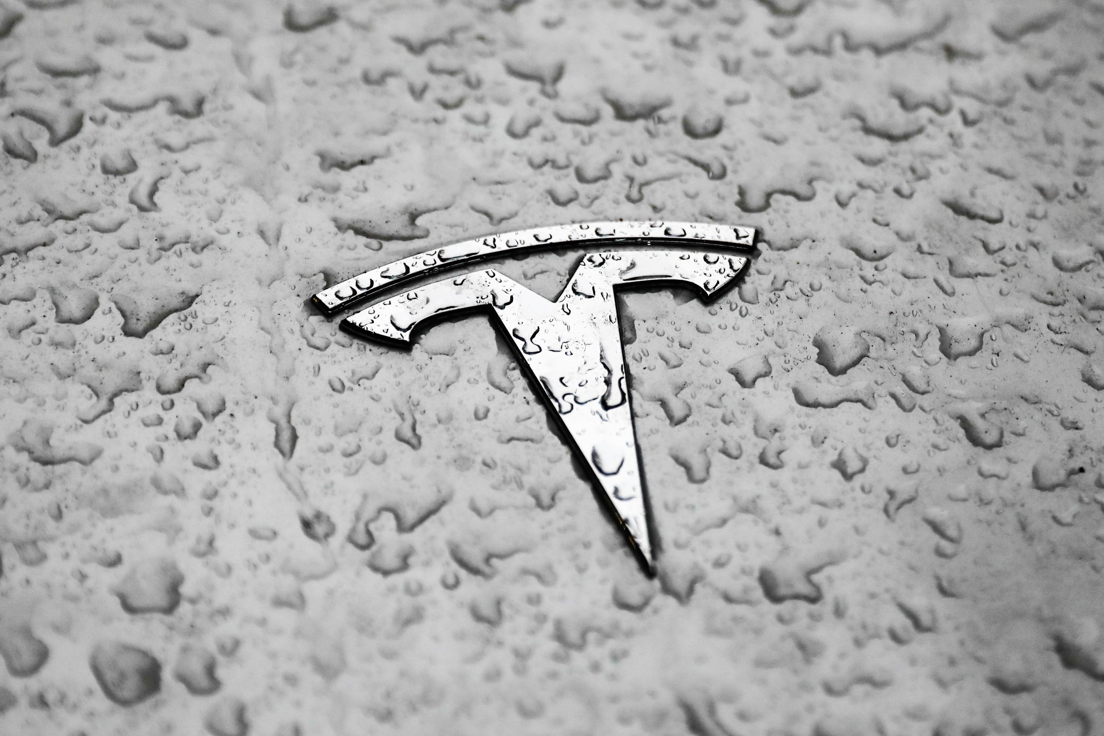 Detail Tesla Logo 2021 Nomer 33