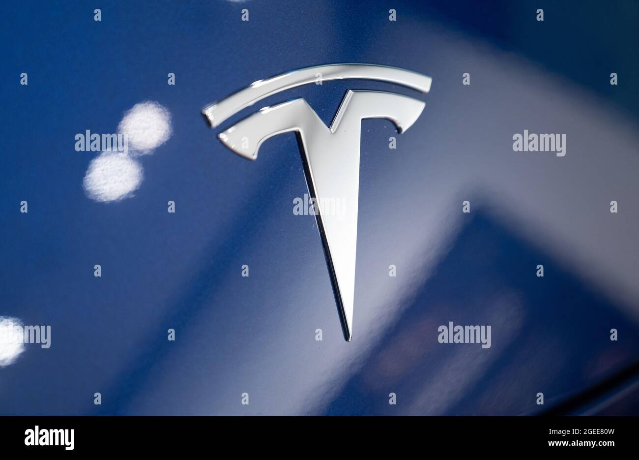 Detail Tesla Logo 2021 Nomer 34