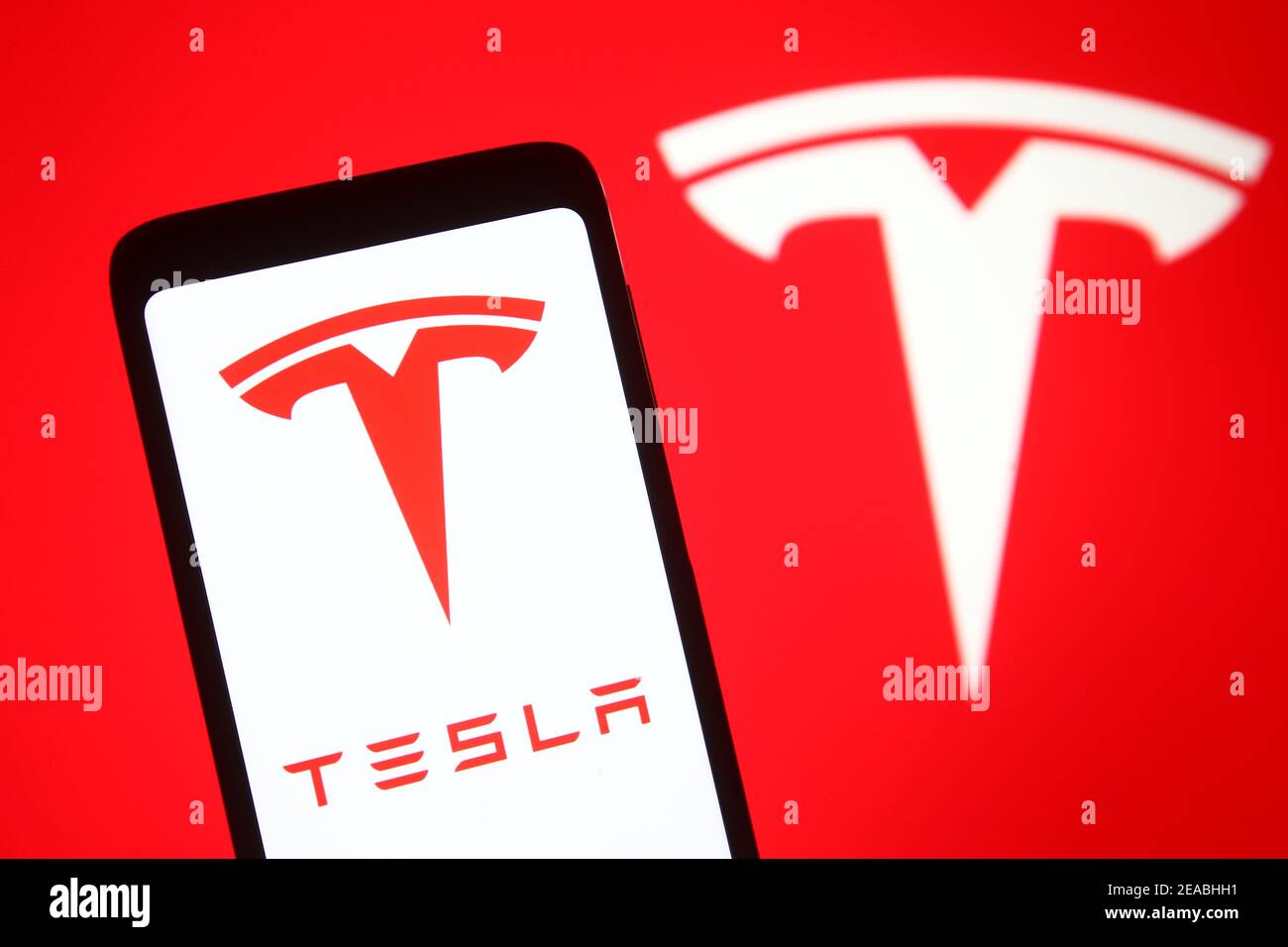 Detail Tesla Logo 2021 Nomer 41