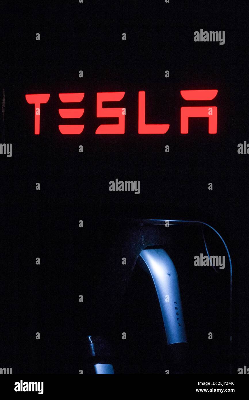 Detail Tesla Logo 2021 Nomer 42